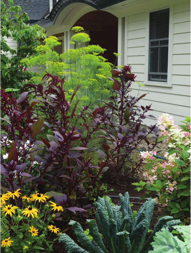 Click here to enlarge image